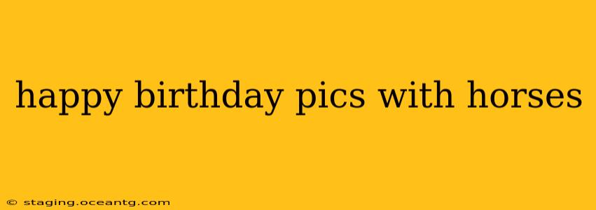 happy birthday pics with horses
