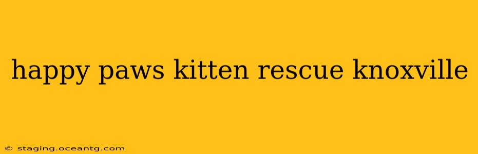 happy paws kitten rescue knoxville