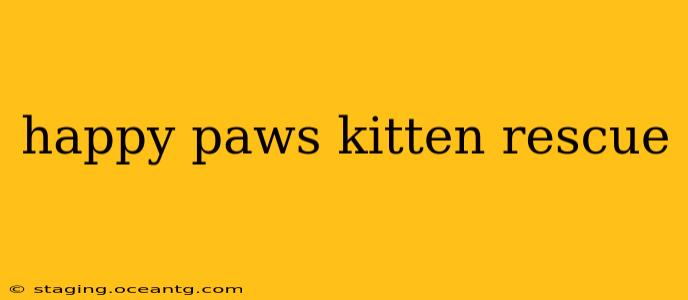 happy paws kitten rescue
