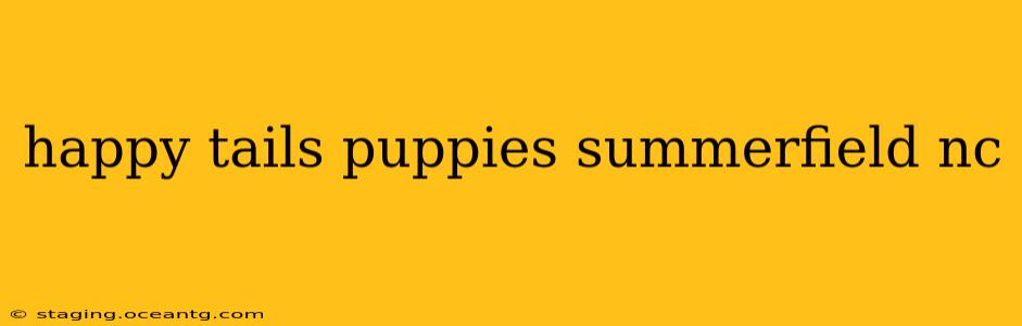 happy tails puppies summerfield nc
