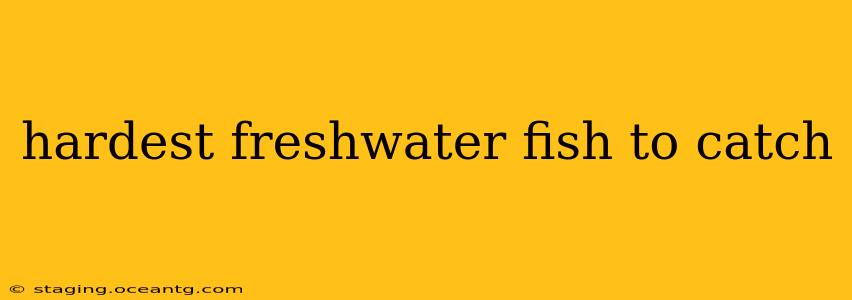 hardest freshwater fish to catch