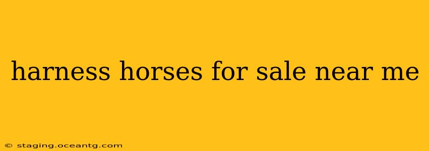 harness horses for sale near me