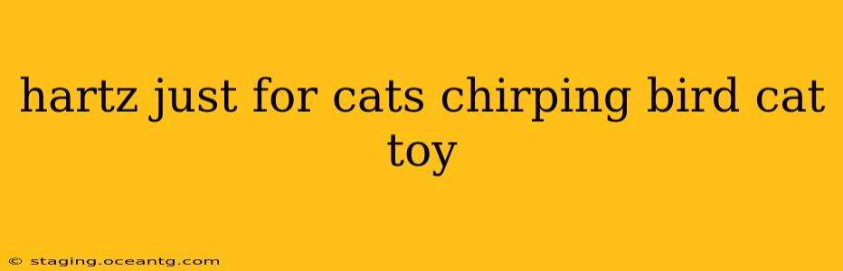 hartz just for cats chirping bird cat toy