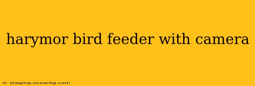 harymor bird feeder with camera