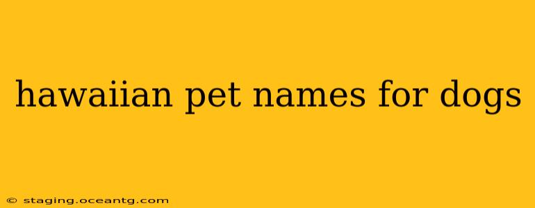 hawaiian pet names for dogs