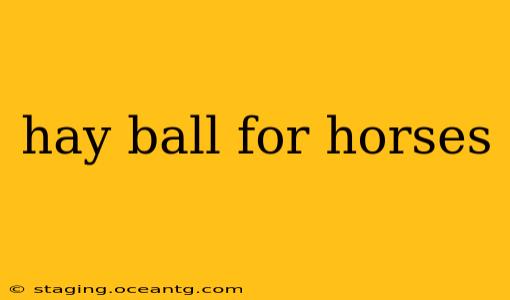 hay ball for horses