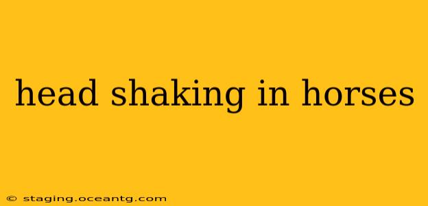 head shaking in horses