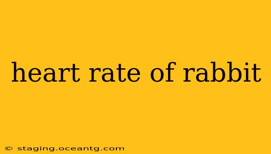 heart rate of rabbit