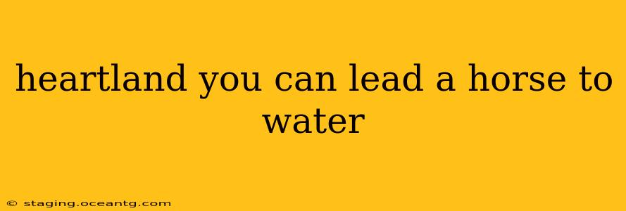 heartland you can lead a horse to water