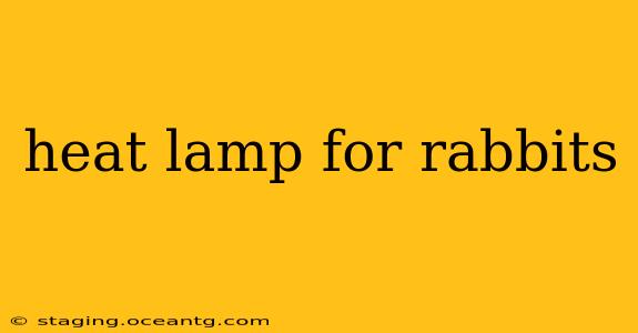 heat lamp for rabbits