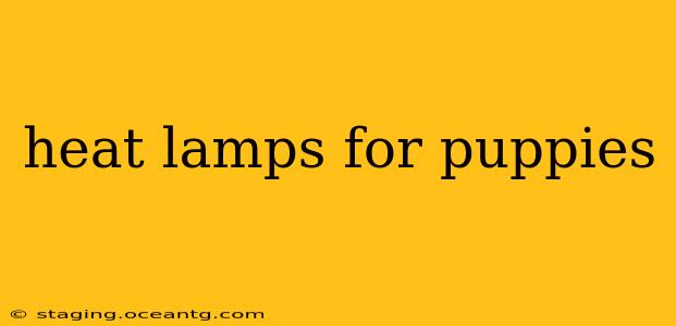 heat lamps for puppies