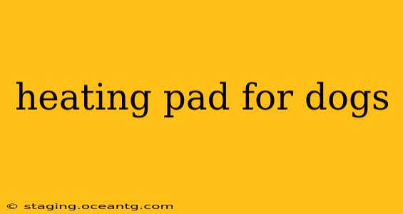 heating pad for dogs