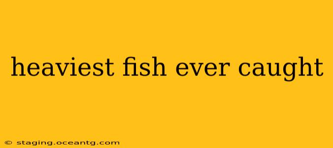 heaviest fish ever caught