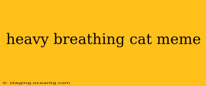 heavy breathing cat meme