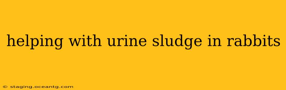 helping with urine sludge in rabbits