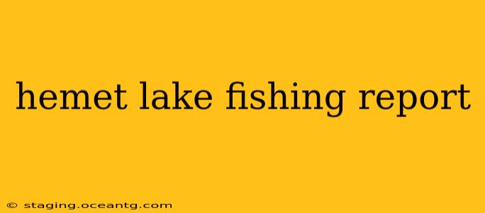 hemet lake fishing report