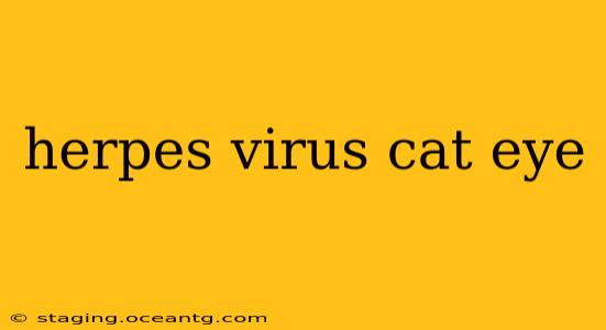 herpes virus cat eye