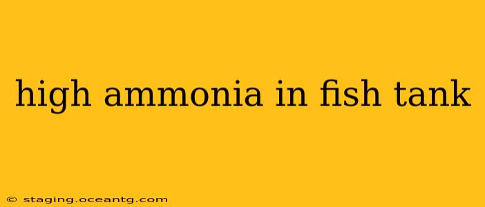 high ammonia in fish tank