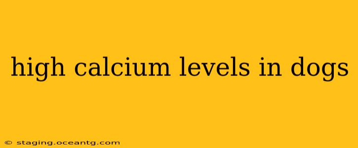 high calcium levels in dogs