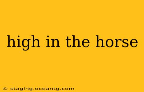 high in the horse