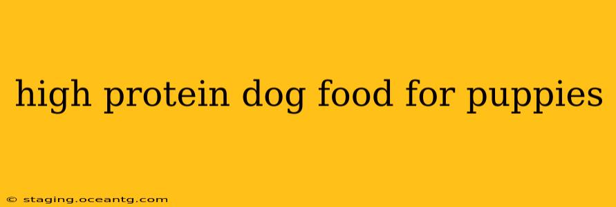 high protein dog food for puppies