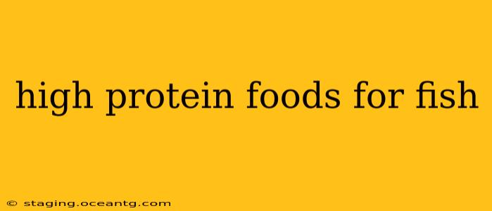 high protein foods for fish