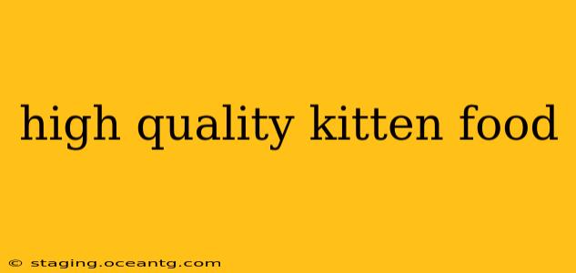 high quality kitten food
