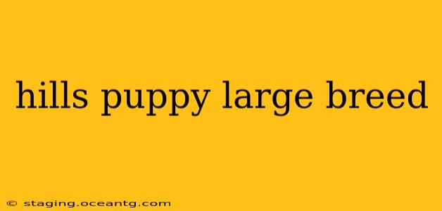hills puppy large breed