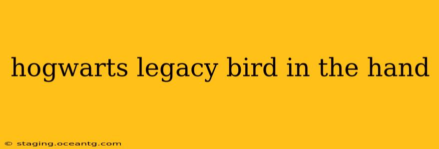 hogwarts legacy bird in the hand