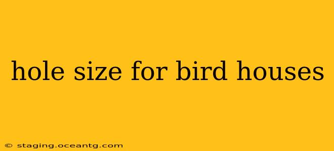 hole size for bird houses