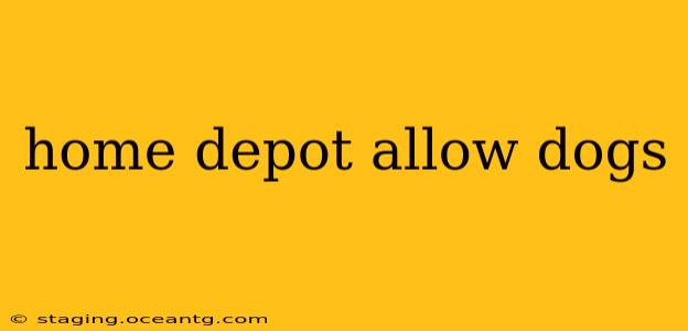 home depot allow dogs