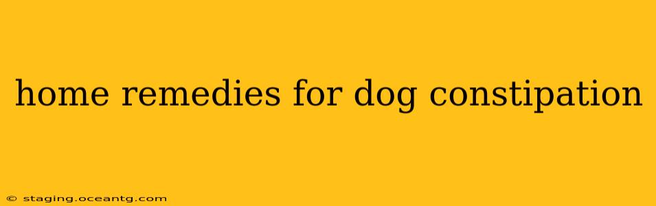 home remedies for dog constipation