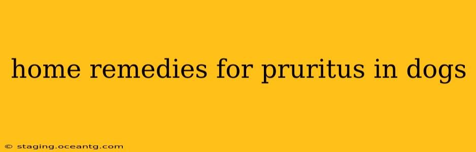 home remedies for pruritus in dogs