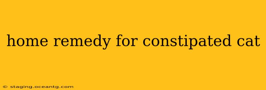 home remedy for constipated cat