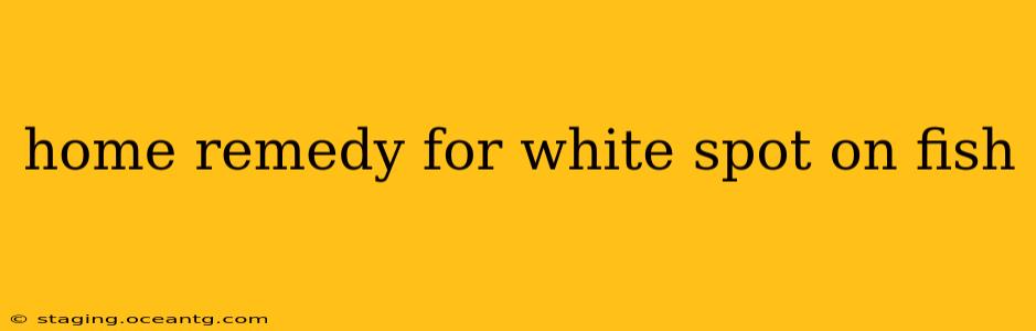 home remedy for white spot on fish