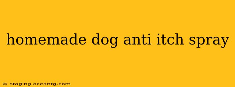 homemade dog anti itch spray