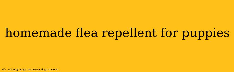 homemade flea repellent for puppies
