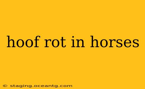 hoof rot in horses