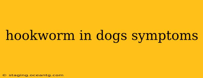 hookworm in dogs symptoms