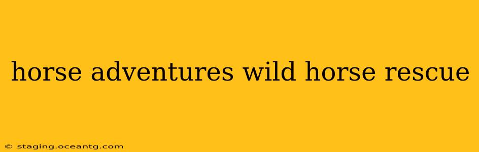 horse adventures wild horse rescue