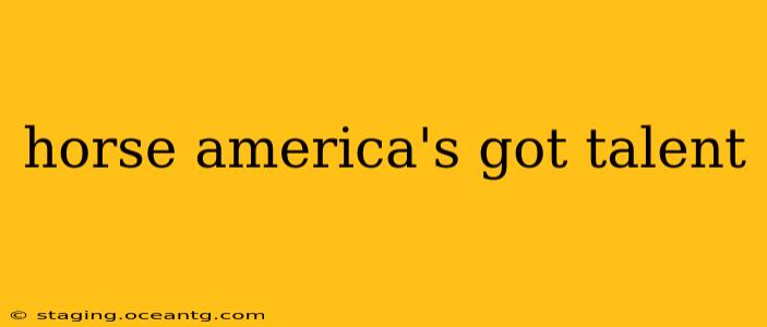 horse america's got talent