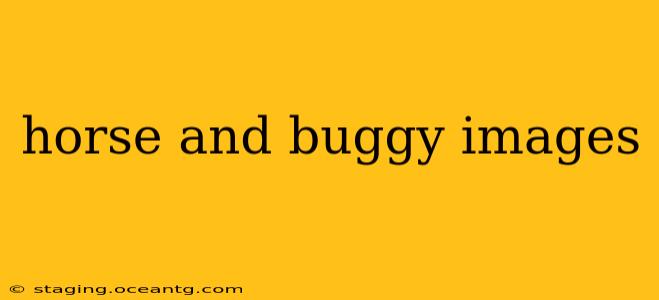 horse and buggy images