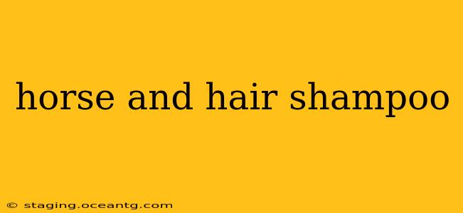 horse and hair shampoo