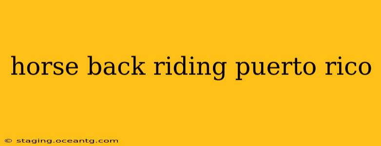 horse back riding puerto rico