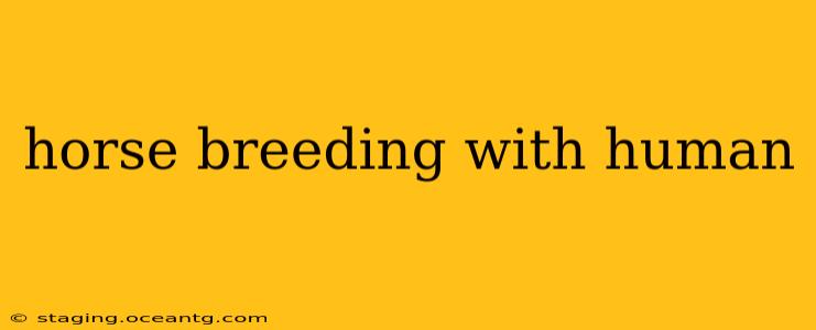 horse breeding with human