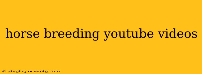 horse breeding youtube videos