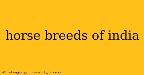horse breeds of india