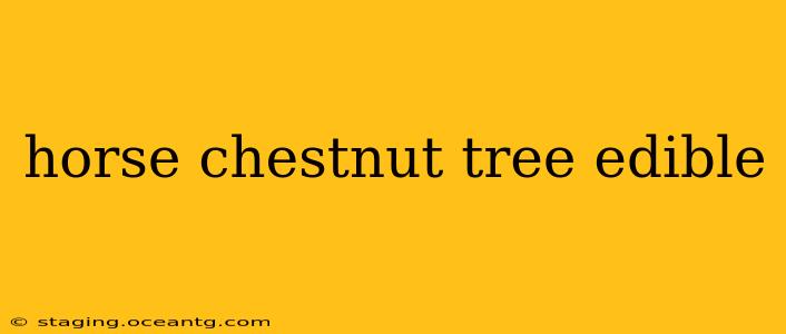 horse chestnut tree edible