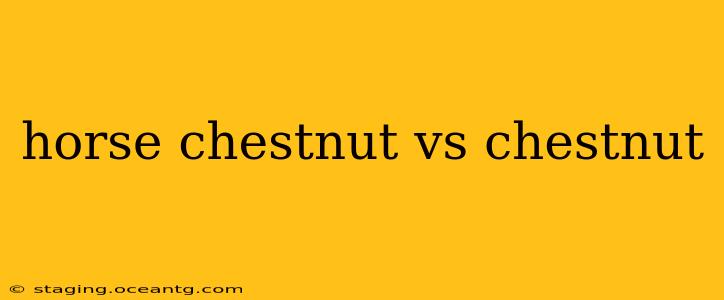 horse chestnut vs chestnut