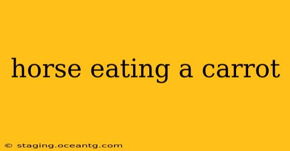 horse eating a carrot